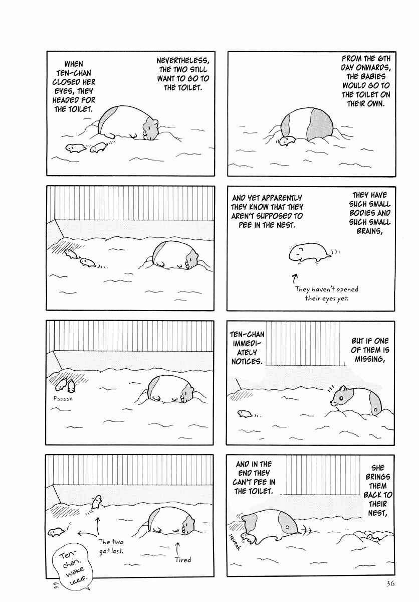 Page 8 Chapter 24 Hamster Research Report