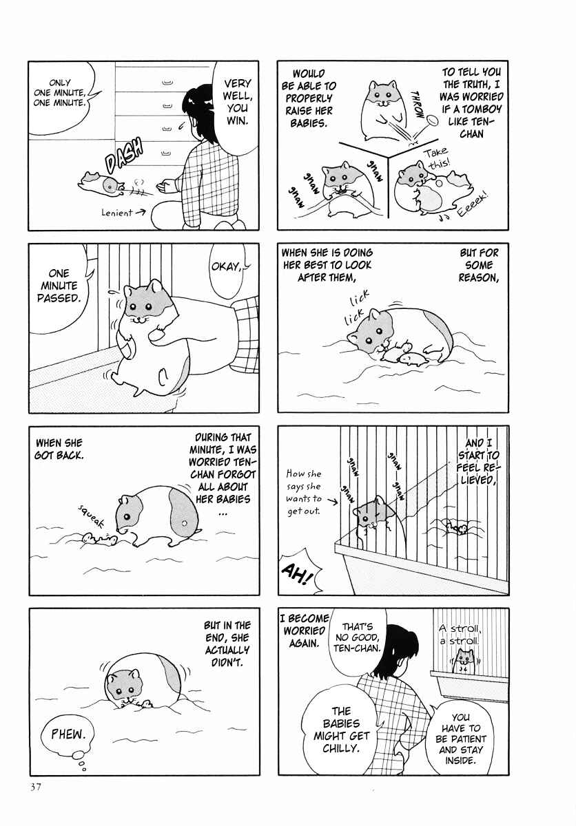 Page 9 Chapter 24 Hamster Research Report