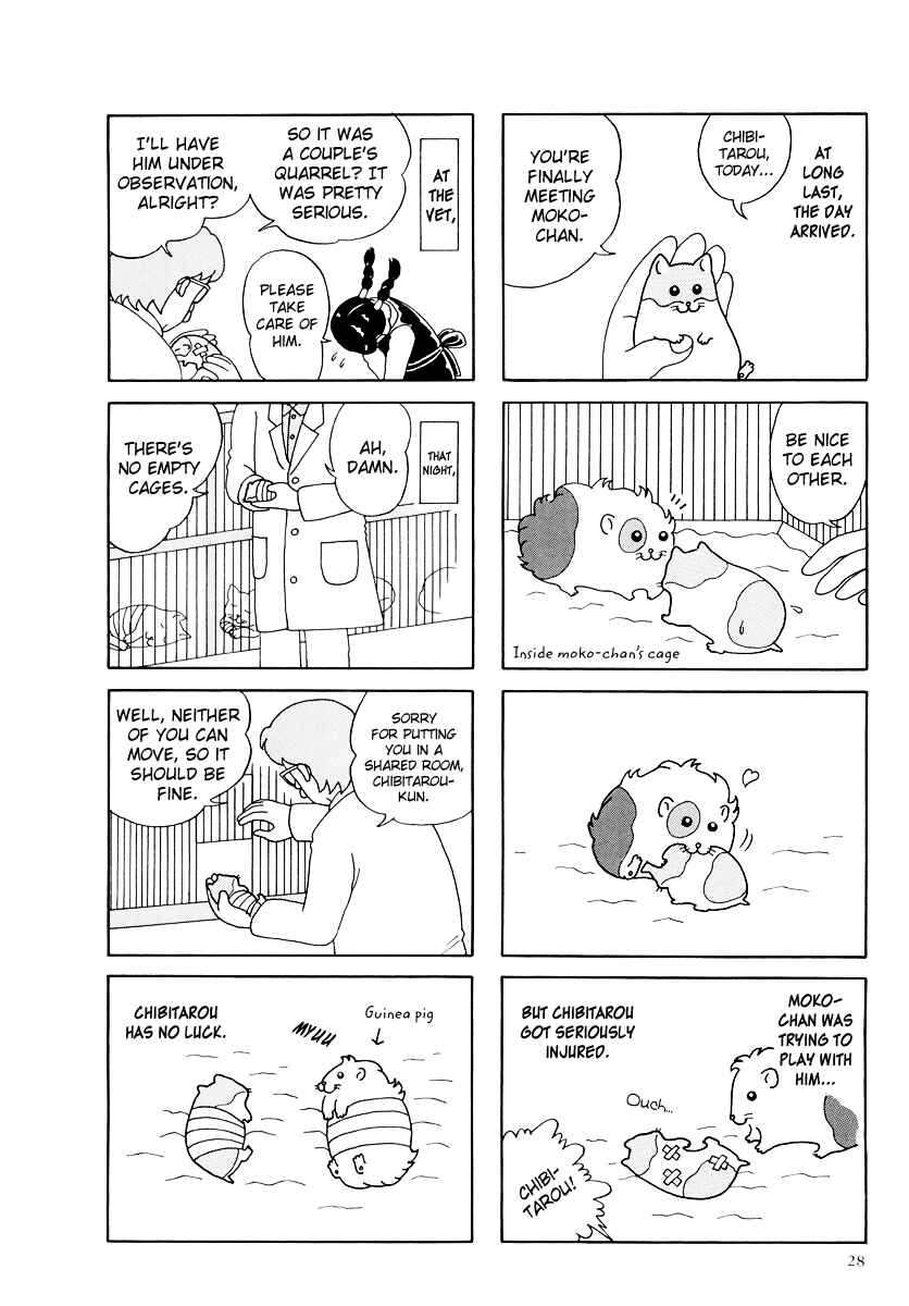Page 6 Chapter 14 Hamster Research Report