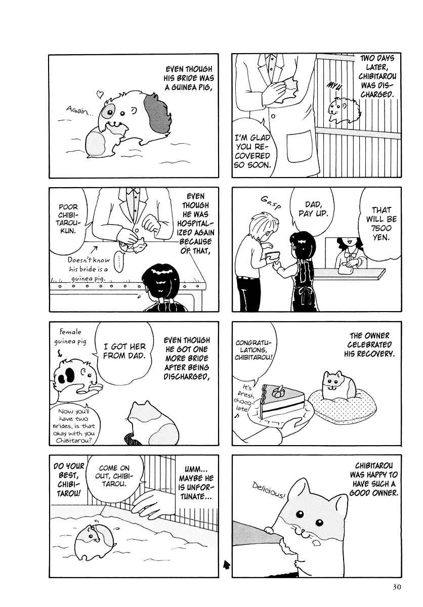 Page 8 Chapter 14 Hamster Research Report