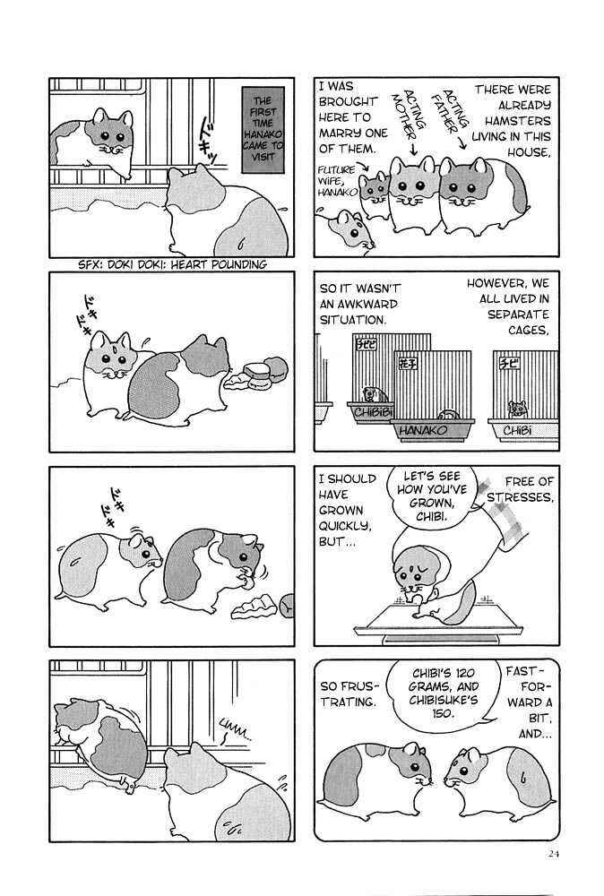 Page 2 Chapter 3 Hamster Research Report