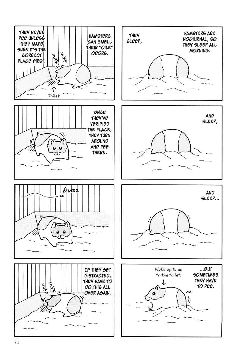 Page 3 Chapter 33 Hamster Research Report