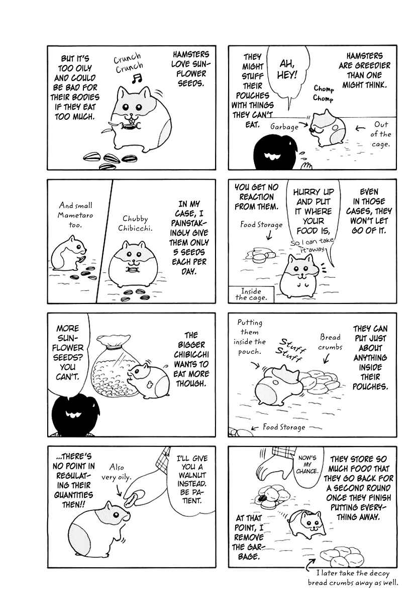 Page 4 Chapter 35 Hamster Research Report