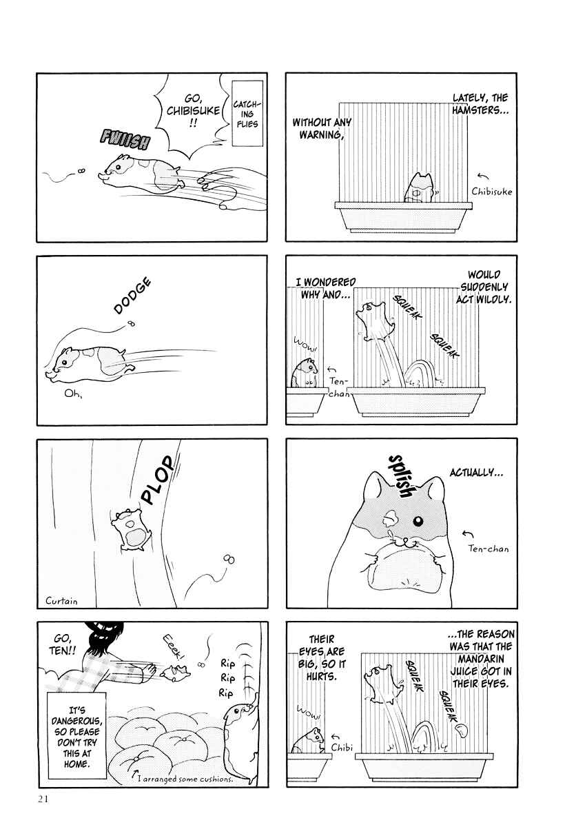 Page 2 Chapter 13 Hamster Research Report