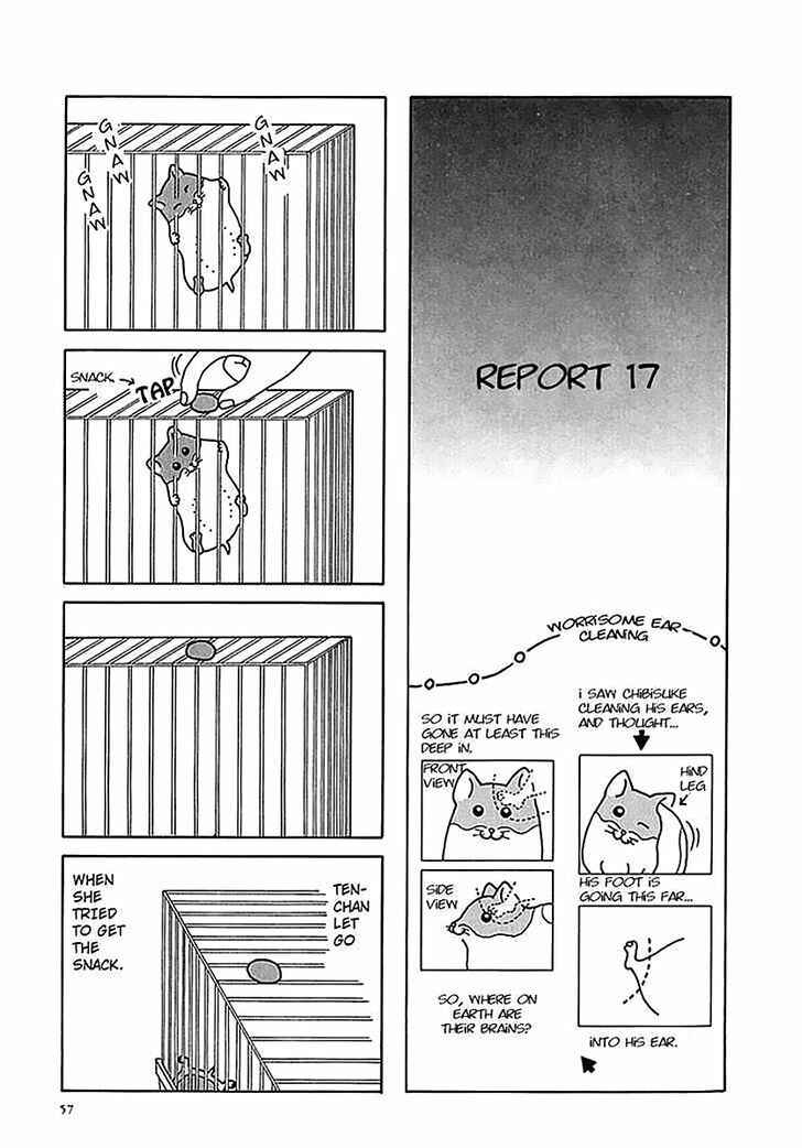 Page 12 Chapter 6 Hamster Research Report