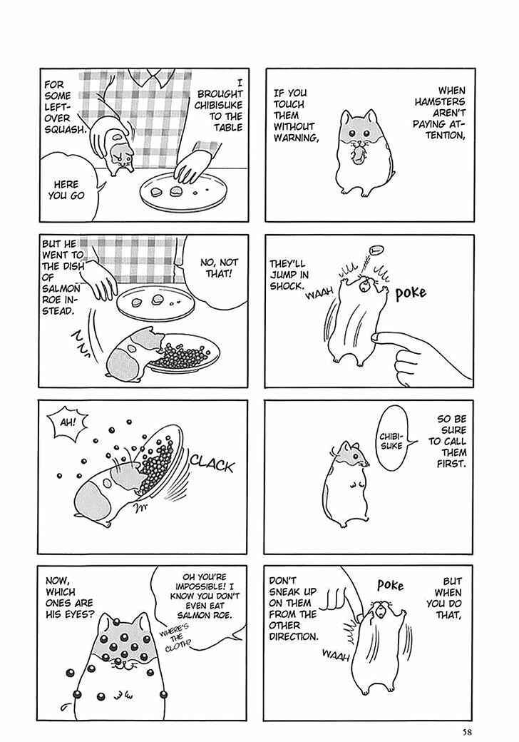 Page 14 Chapter 6 Hamster Research Report