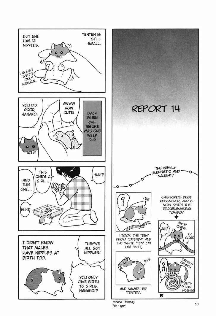 Page 5 Chapter 6 Hamster Research Report