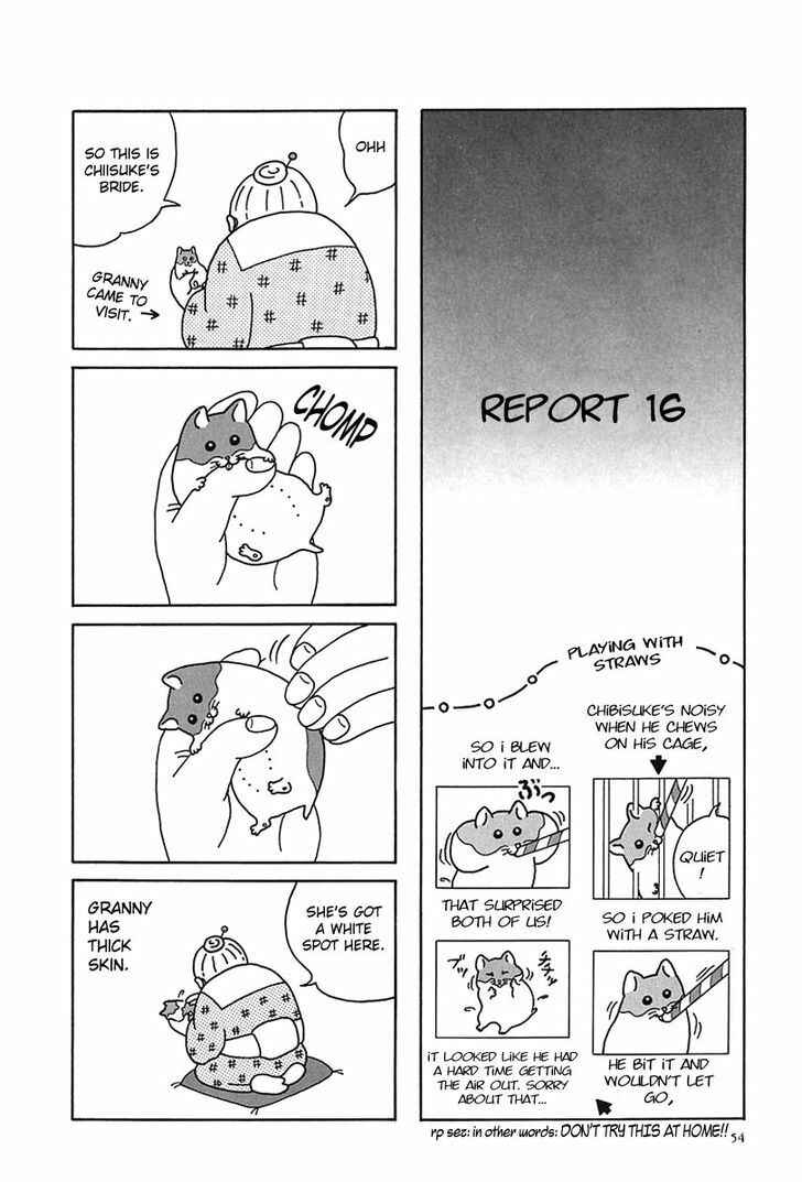 Page 9 Chapter 6 Hamster Research Report