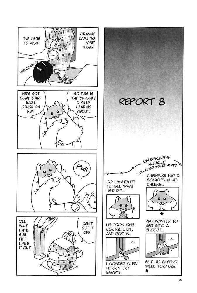 Page 5 Chapter 4 Hamster Research Report