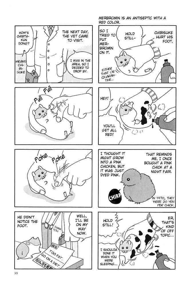 Page 8 Chapter 4 Hamster Research Report