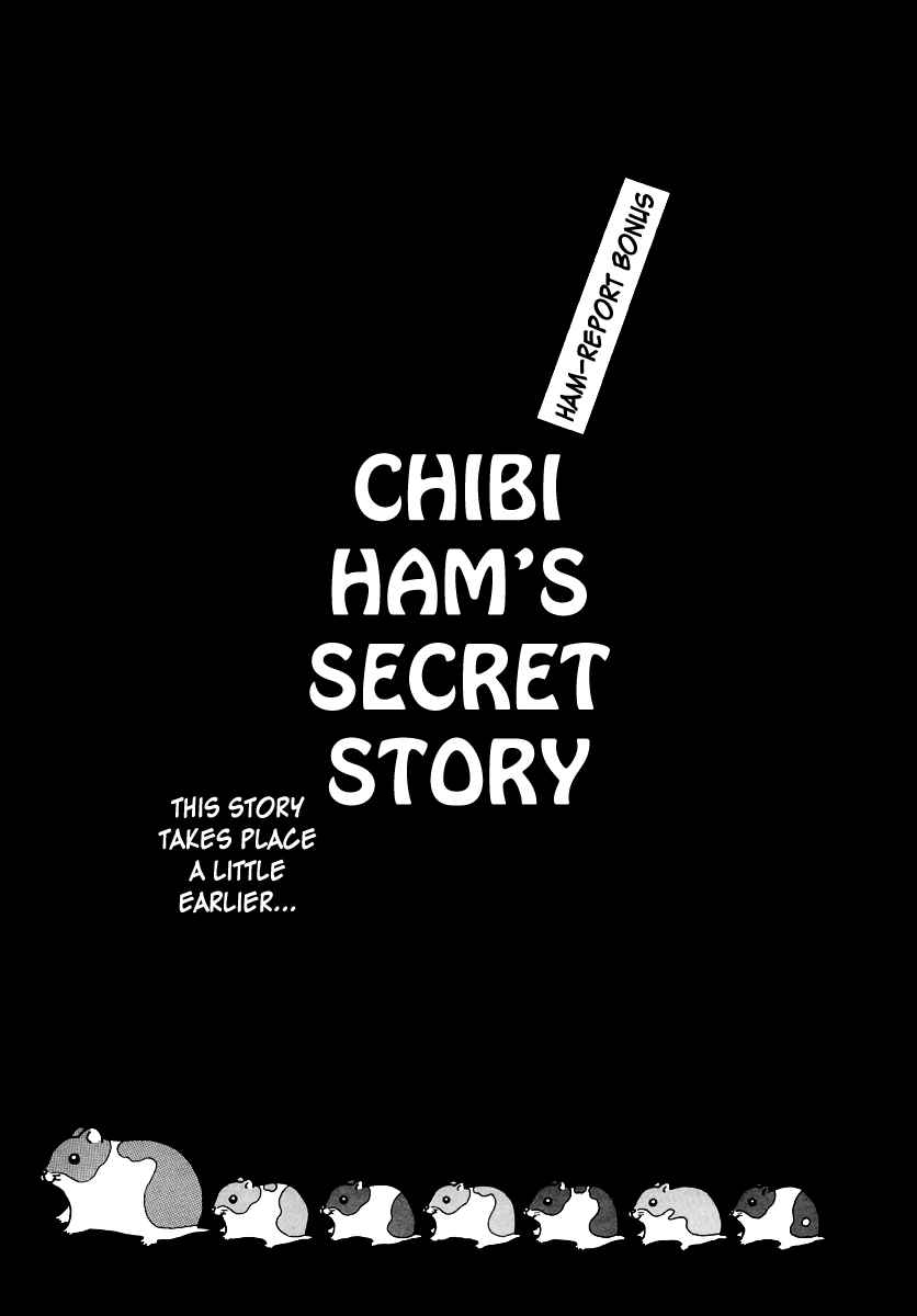 Page 1 Chapter 8 Hamster Research Report
