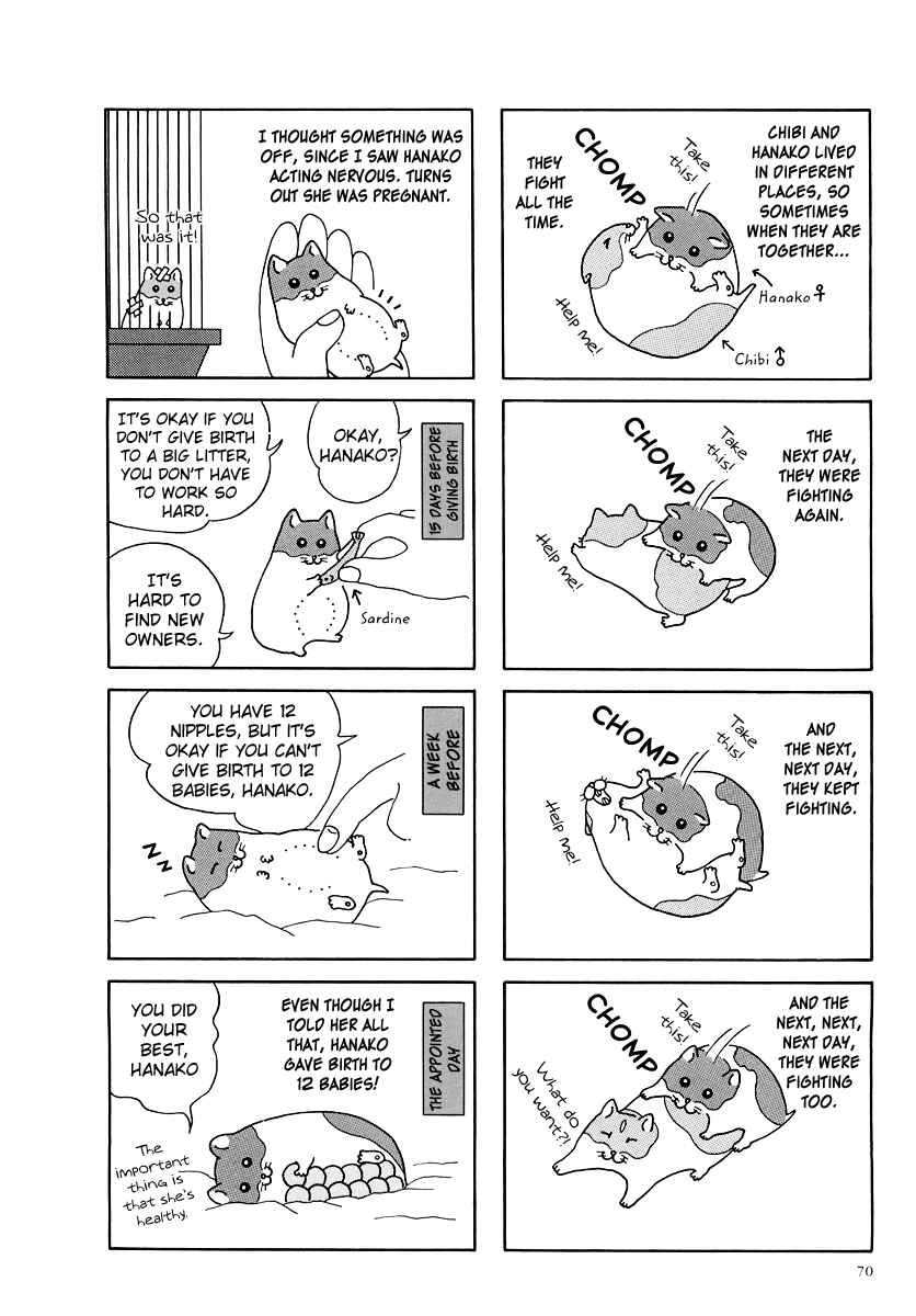 Page 2 Chapter 8 Hamster Research Report