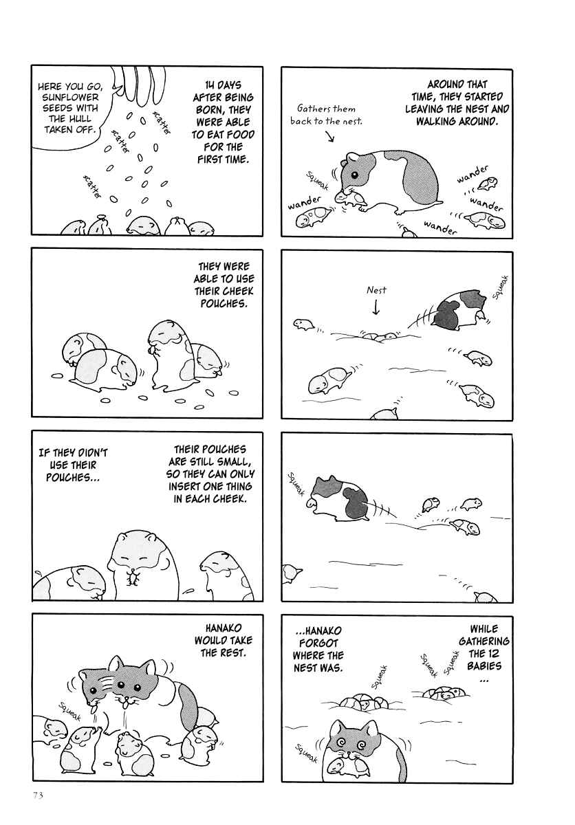 Page 5 Chapter 8 Hamster Research Report