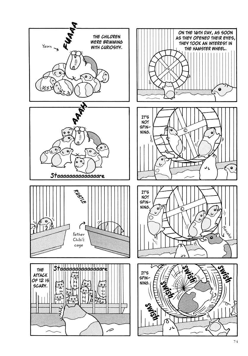 Page 6 Chapter 8 Hamster Research Report