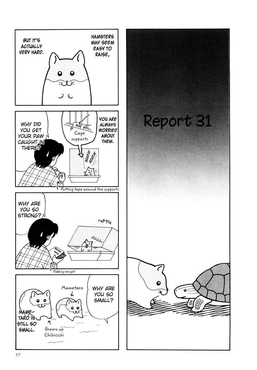 Page 1 Chapter 31 Hamster Research Report