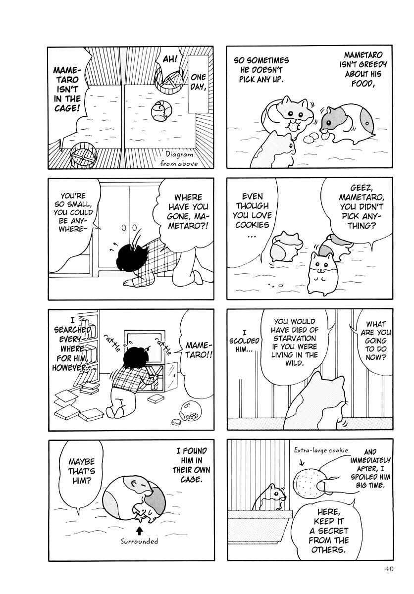 Page 4 Chapter 31 Hamster Research Report