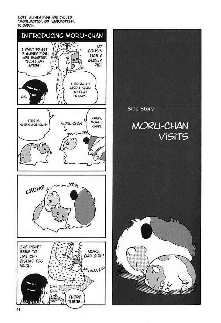 Page 1 Chapter 7 Hamster Research Report