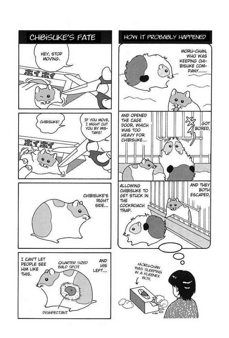 Page 6 Chapter 7 Hamster Research Report