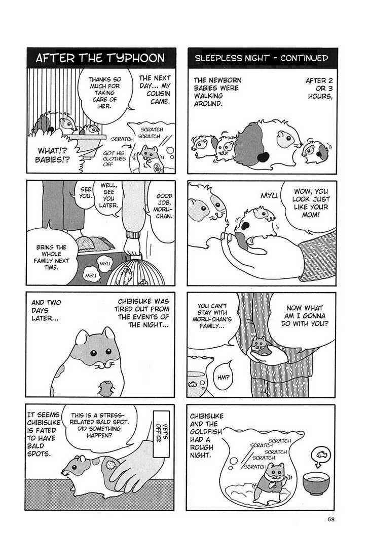 Page 8 Chapter 7 Hamster Research Report