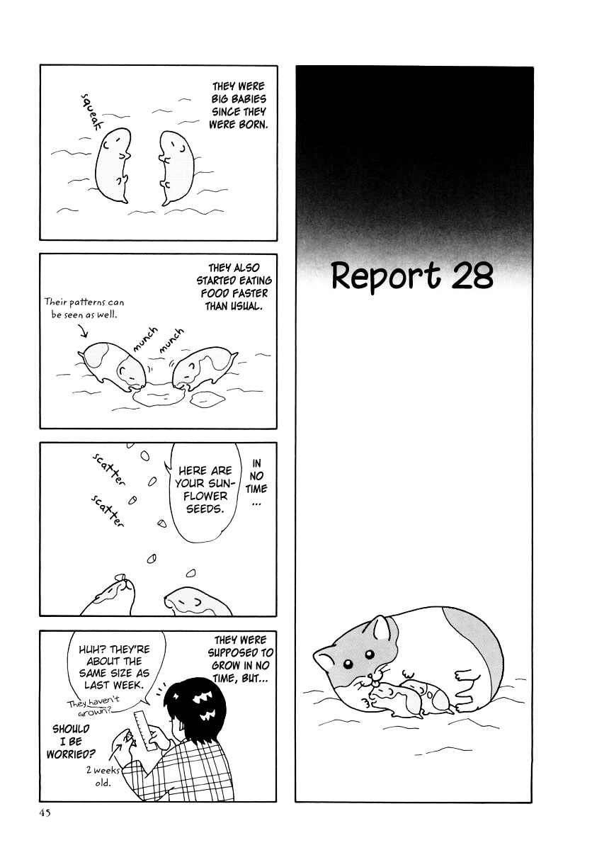 Page 1 Chapter 25 Hamster Research Report
