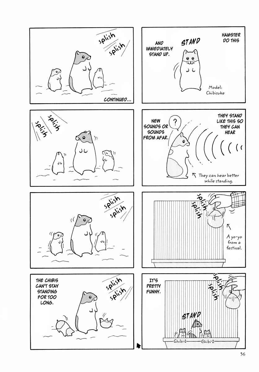 Page 12 Chapter 25 Hamster Research Report