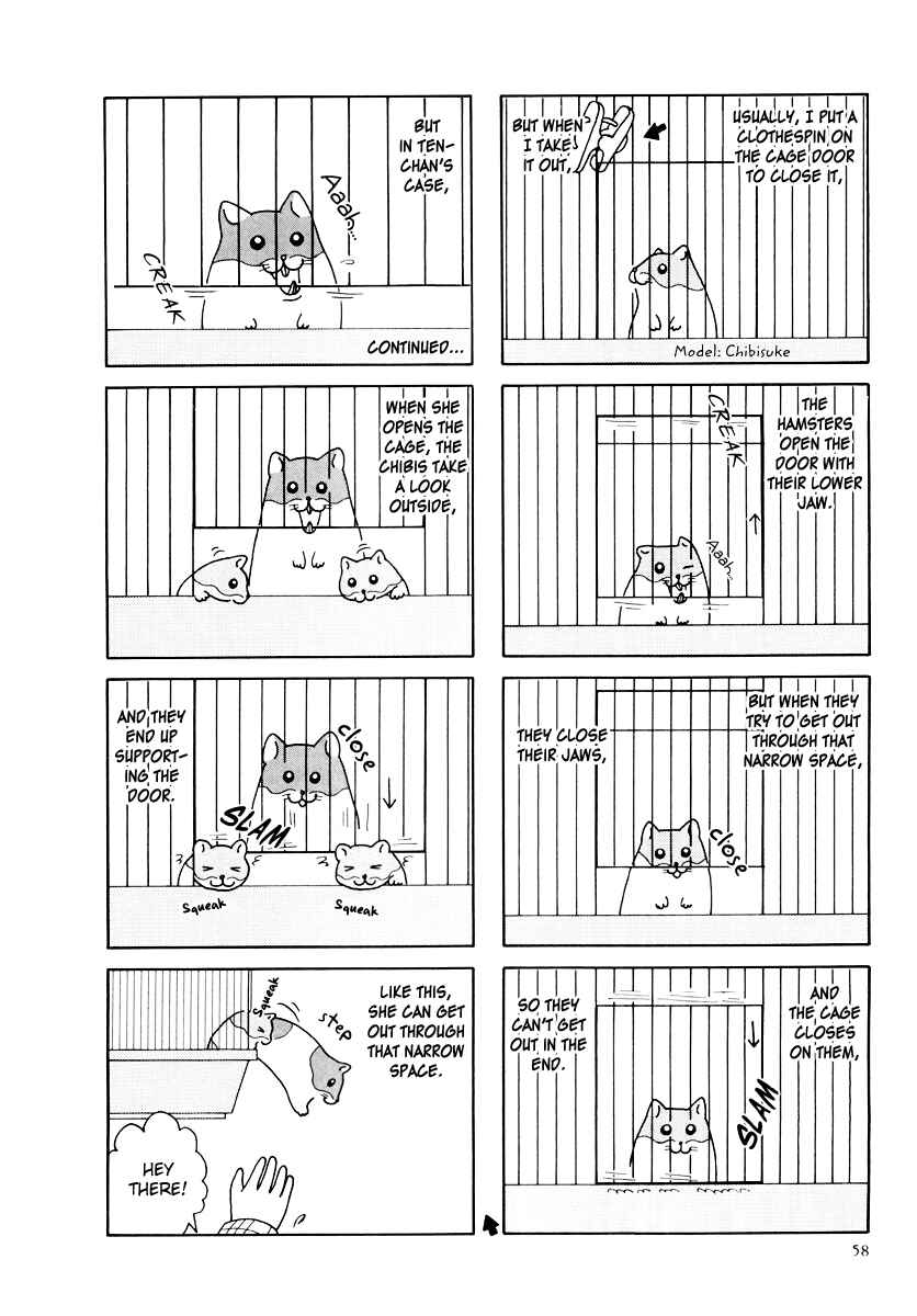Page 14 Chapter 25 Hamster Research Report