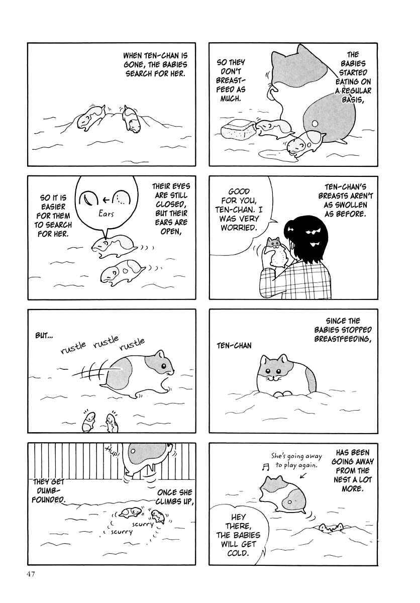 Page 3 Chapter 25 Hamster Research Report
