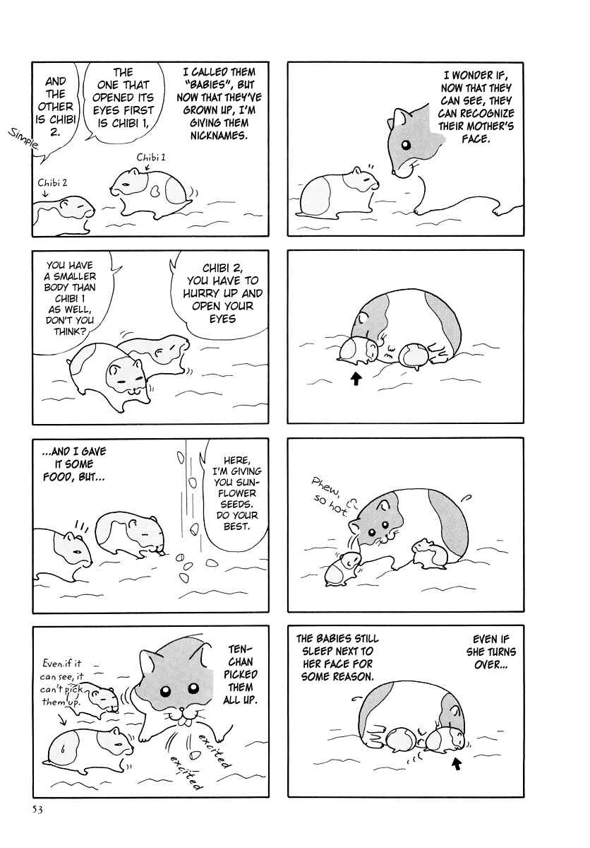 Page 9 Chapter 25 Hamster Research Report