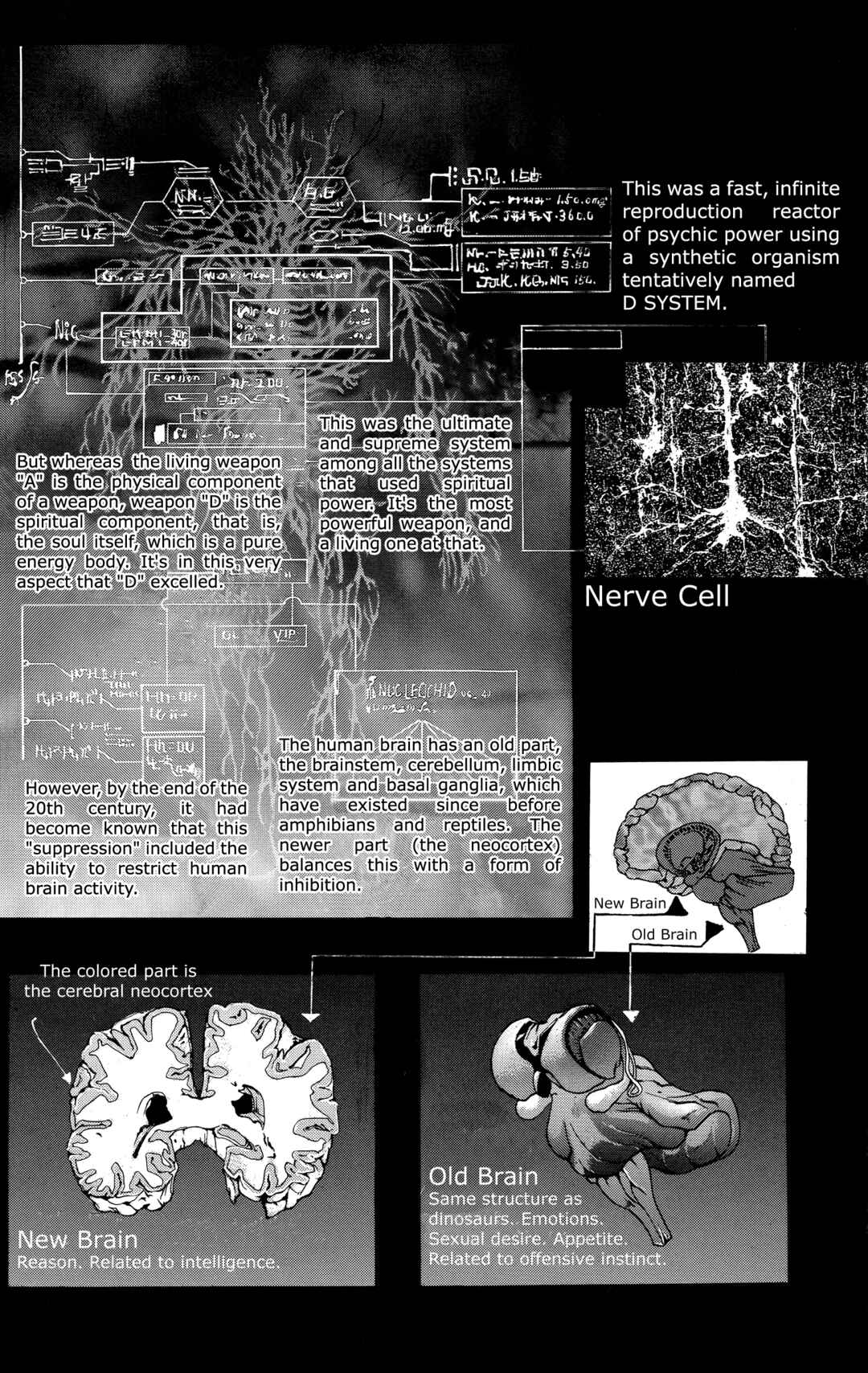 Page 13 Chapter 5 Bastard!! -Unused- Revised Edition