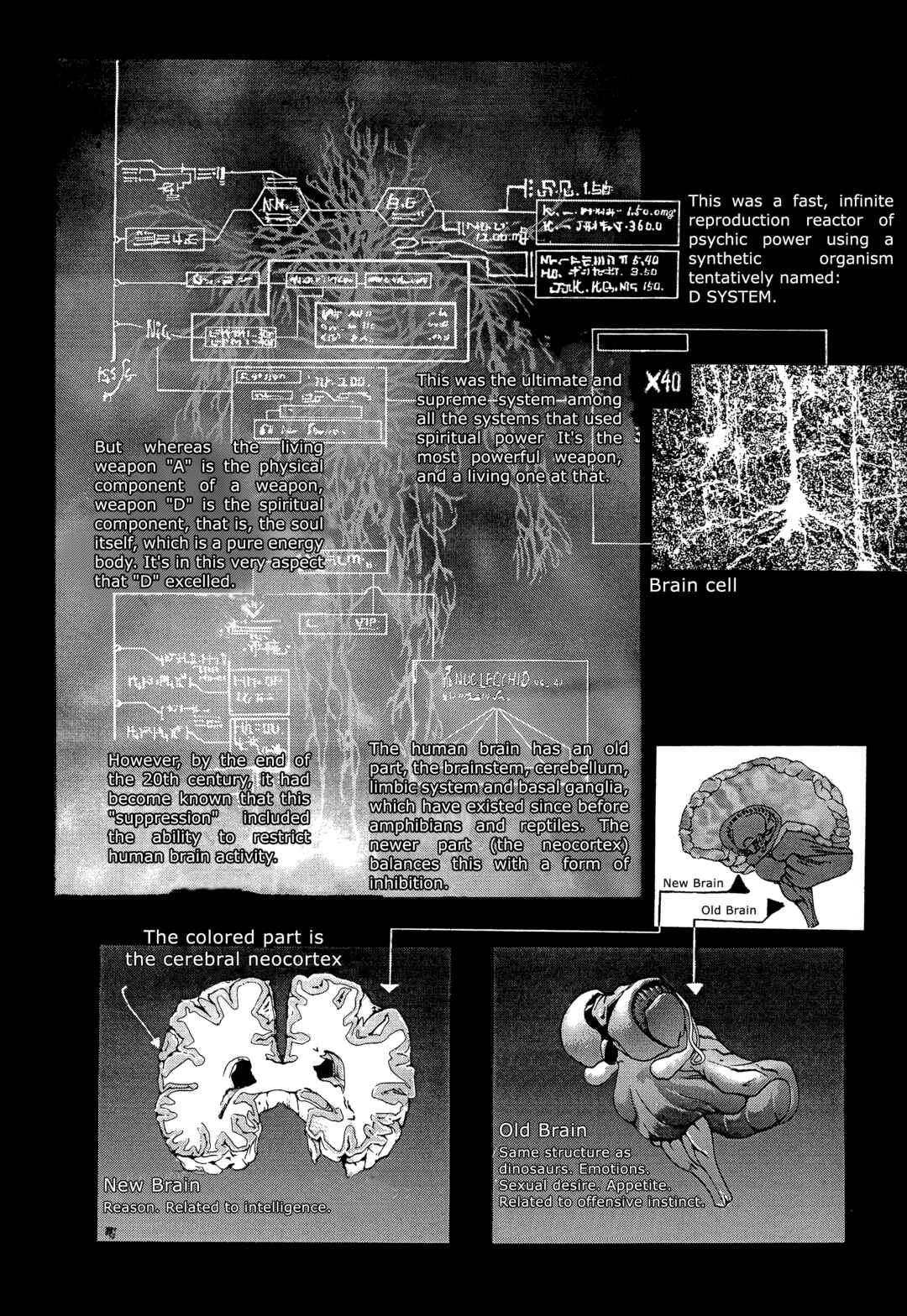 Page 15 Chapter 10 Bastard!! -Unused- Revised Edition