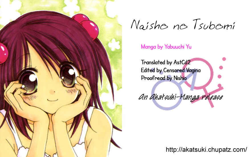 Page 16 Chapter 4 Tsubomis Secrets