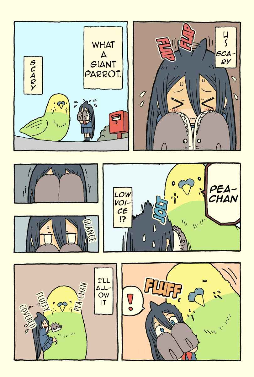 Page 1 Chapter 5 Shark Girl (Webcomic)