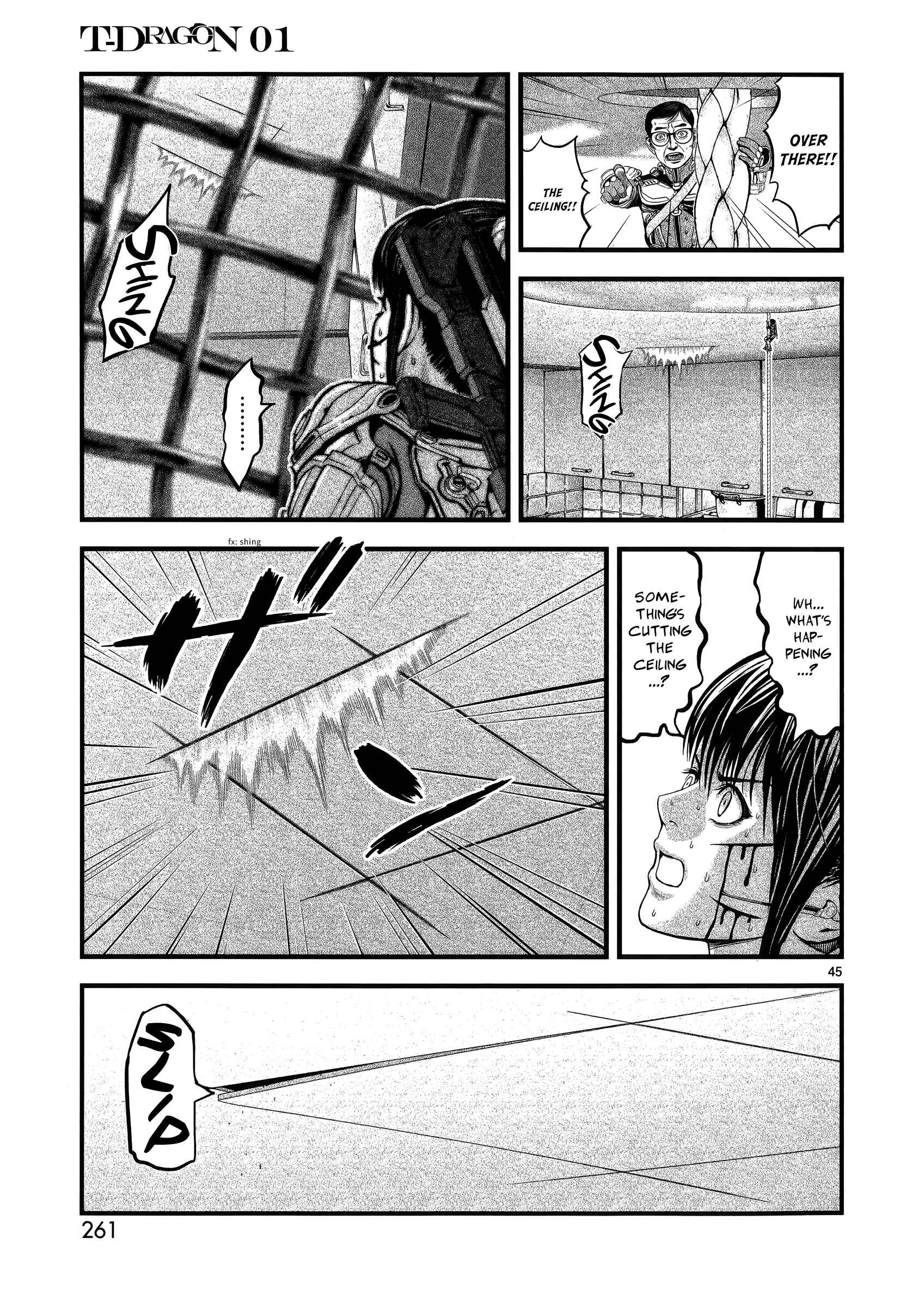 Page 43 Chapter 6 T-Dragon