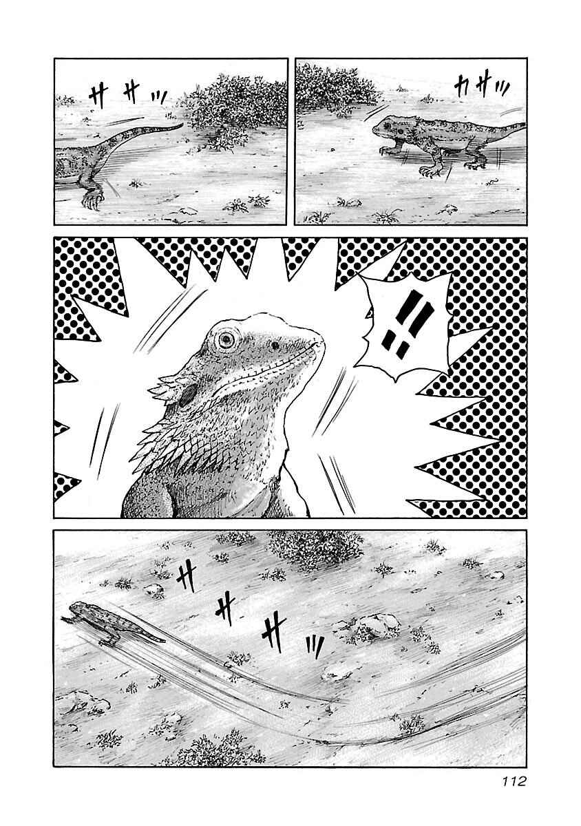 Page 17 Chapter 21 Jank Runk Family