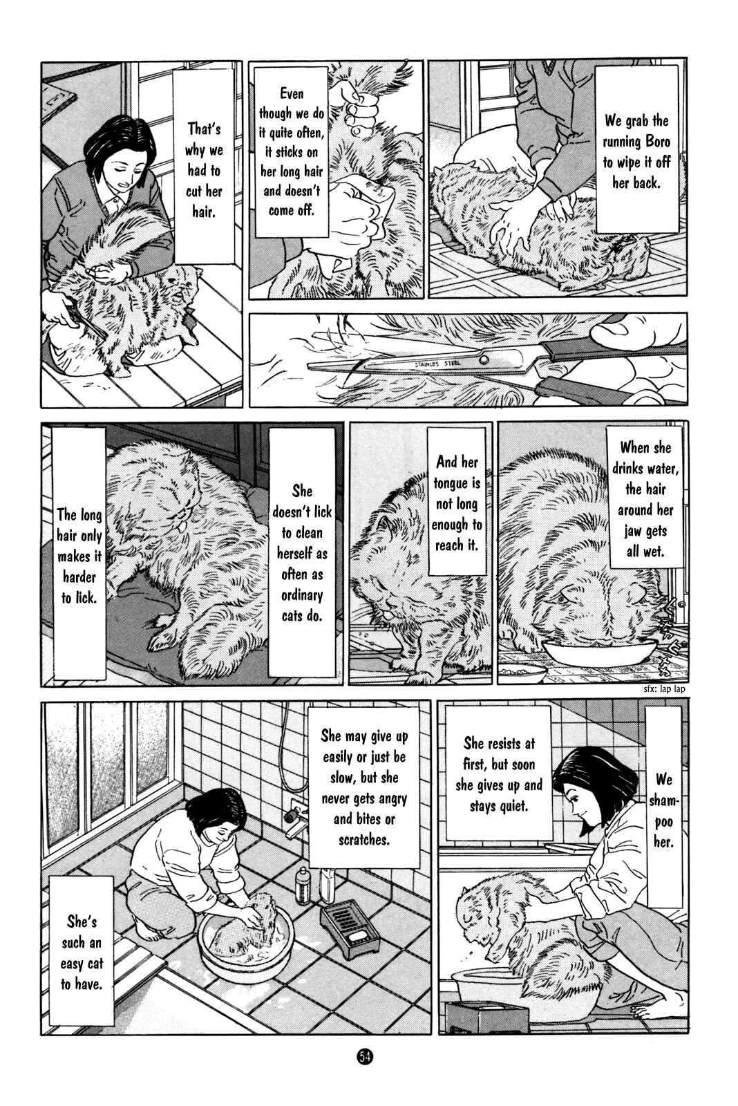 Page 12 Chapter 2 Raising a Dog