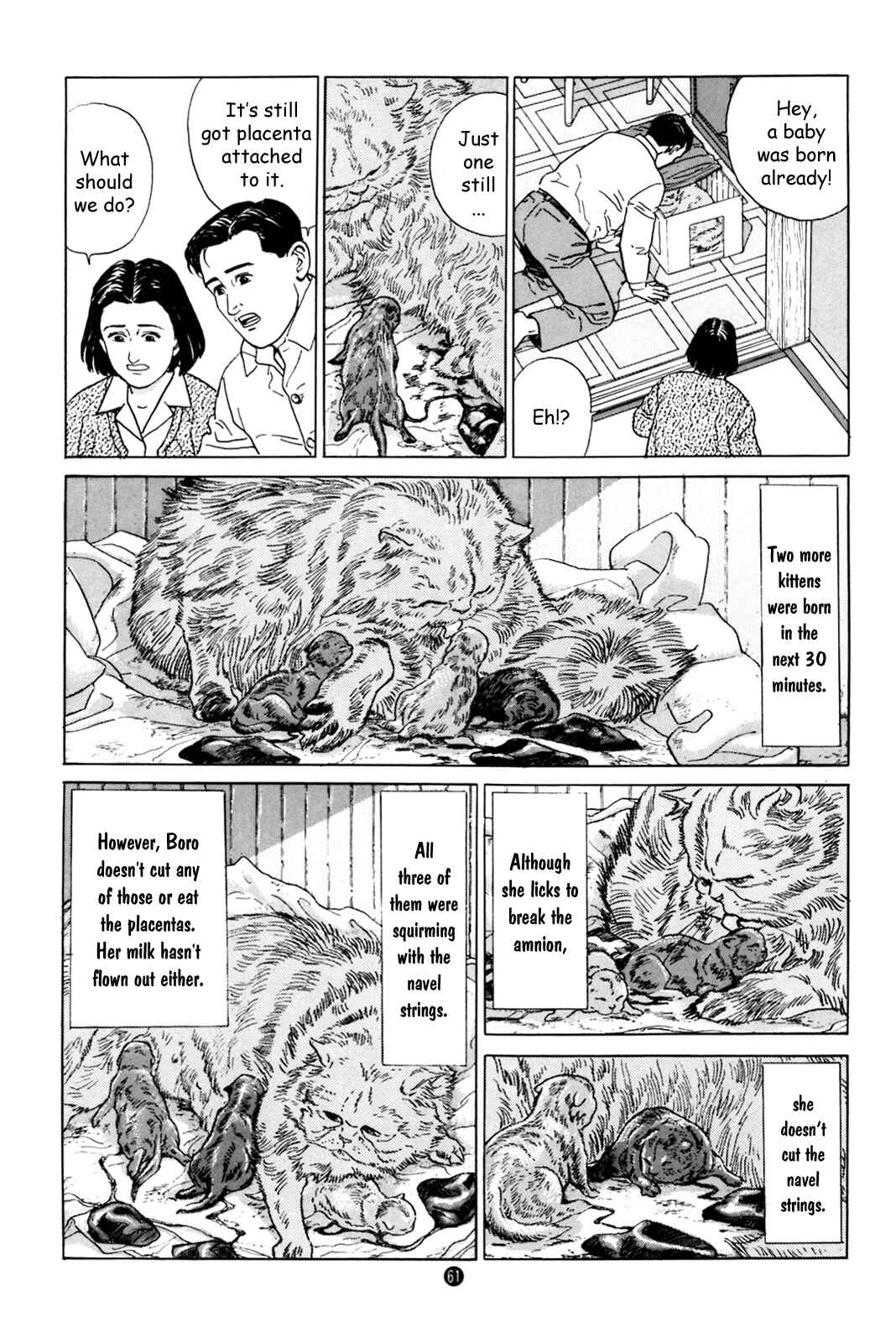 Page 19 Chapter 2 Raising a Dog