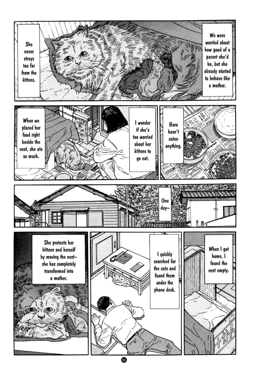 Page 24 Chapter 2 Raising a Dog