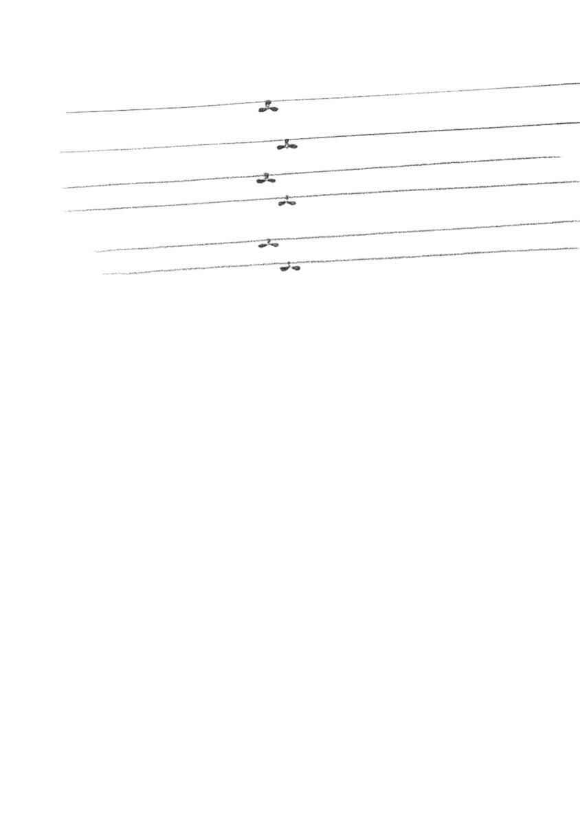 Page 3 Chapter 18 Pillow Fish