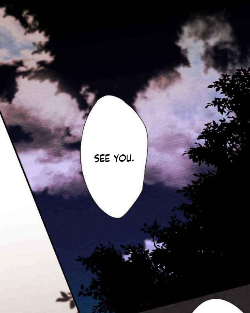 Page 41 Chapter 84 Koe Koi