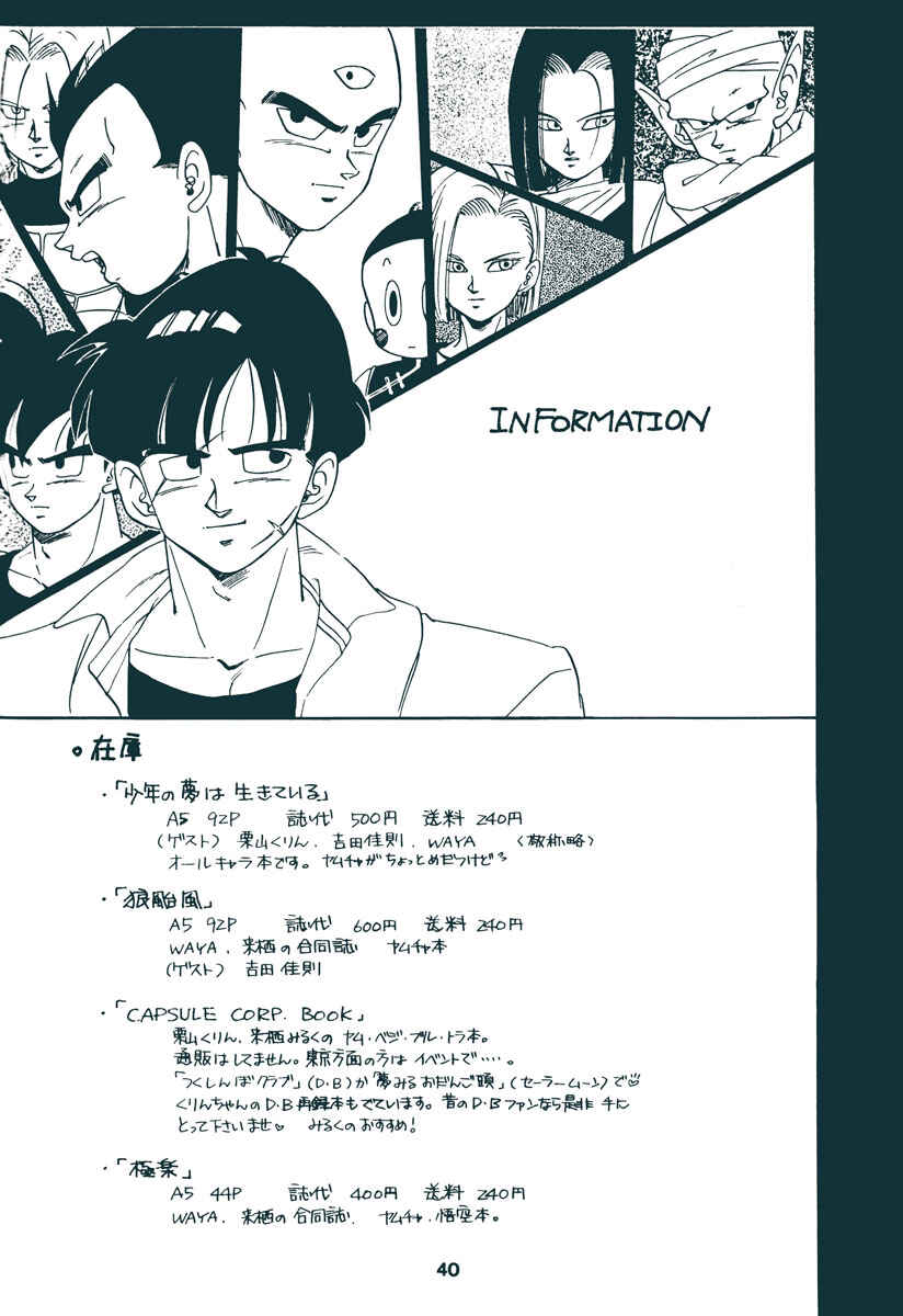 Page 37 Chapter Unknown_7f4e Dragon Ball - Ripple (Doujinshi)