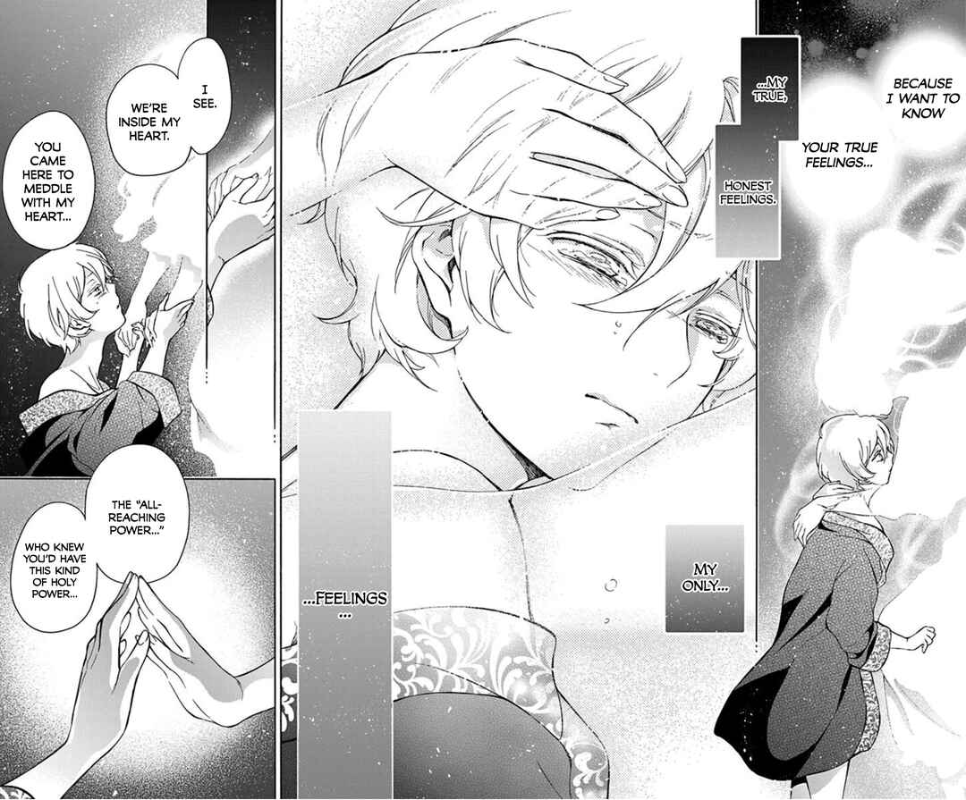 Page 30 Chapter 8 Sirius no Shugosha