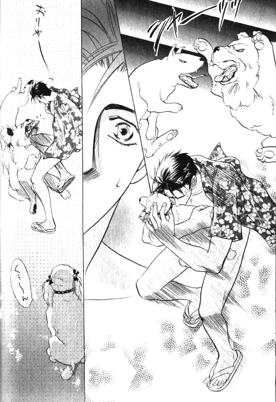 Page 15 Chapter 2 Bull to Arukeba