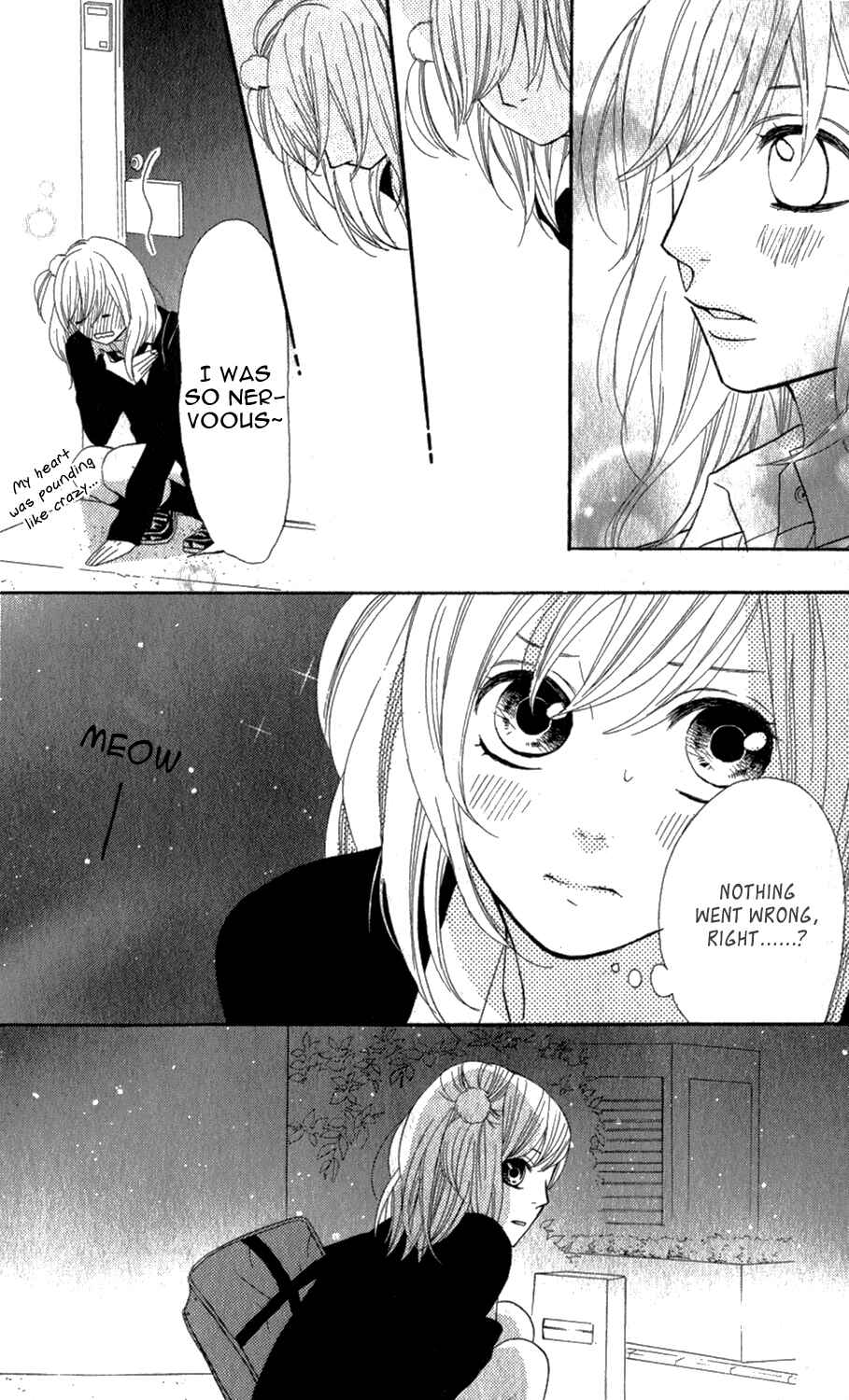 Page 20 Chapter 11 Mairunovich