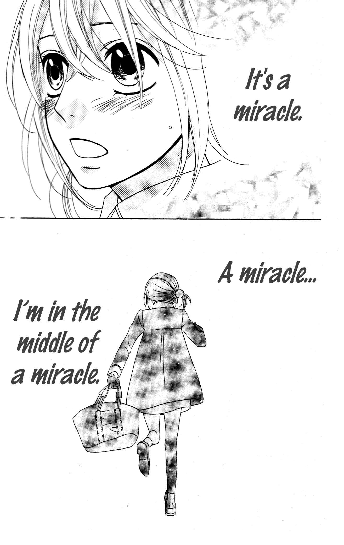 Page 20 Chapter 13 Mairunovich