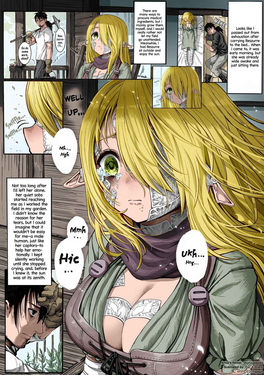 Page 1 Chapter 12 The Apothecary Is Gonna Make This Ragged Elf Happy (Webcomic) (Fan Colored)