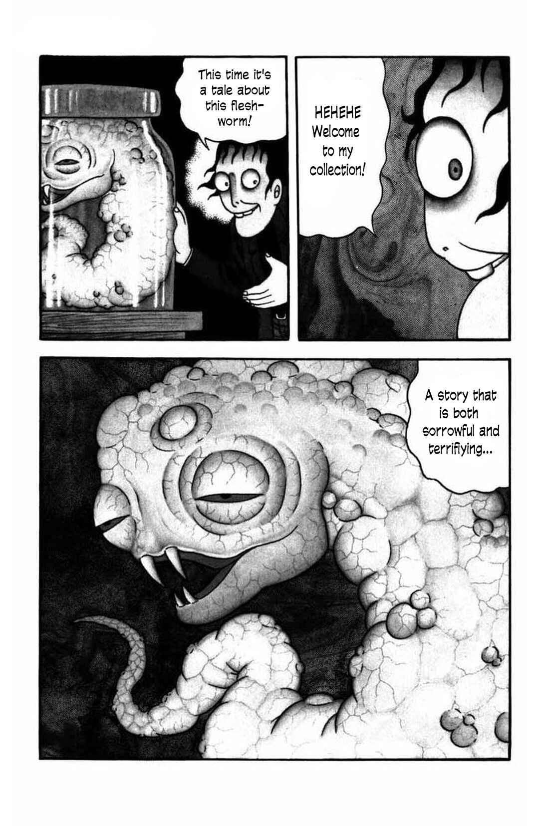 Page 2 Chapter 8 M Collection
