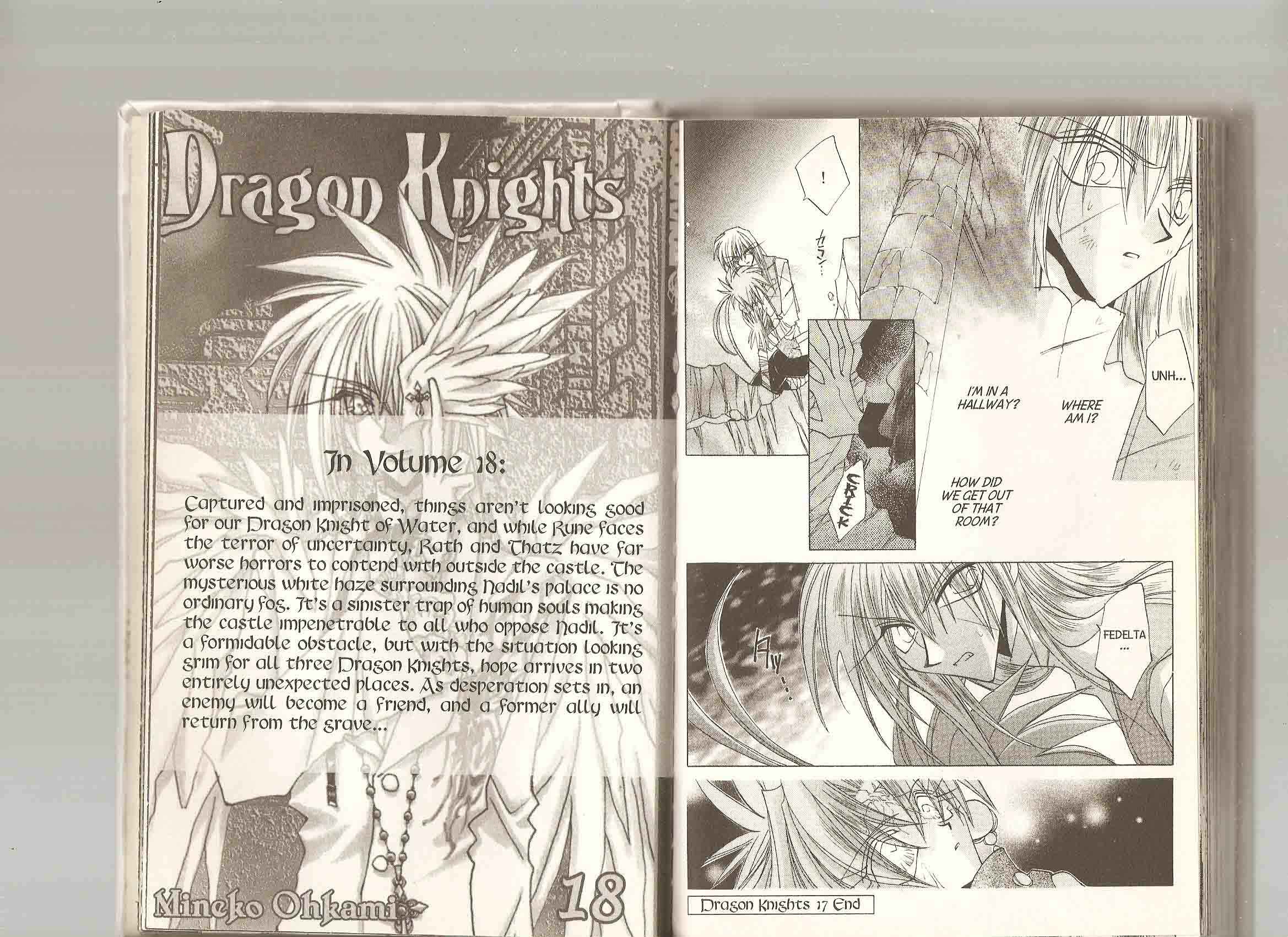 Page 15 Chapter 100 Dragon Knights