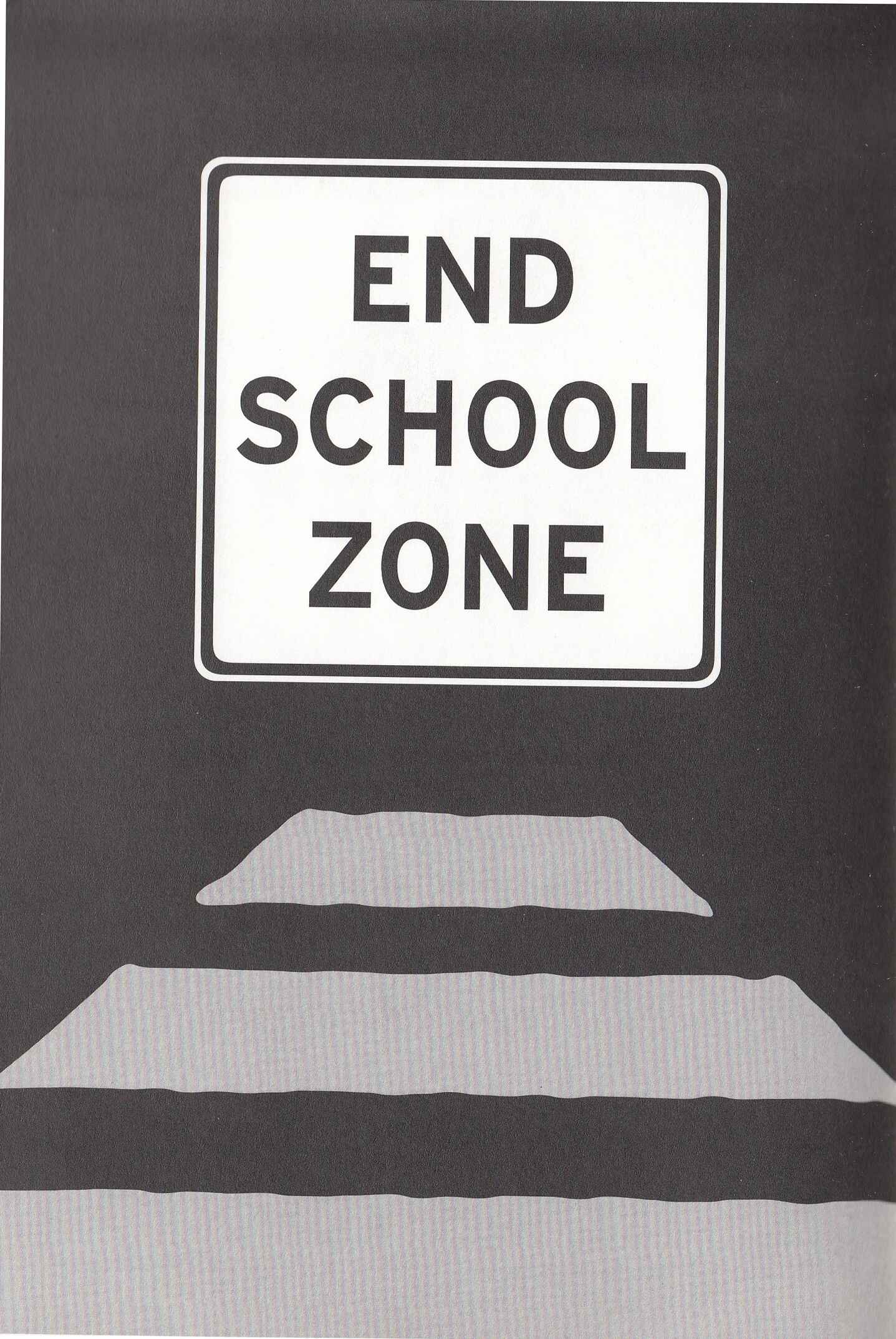 Page 39 Chapter 10 School Zone