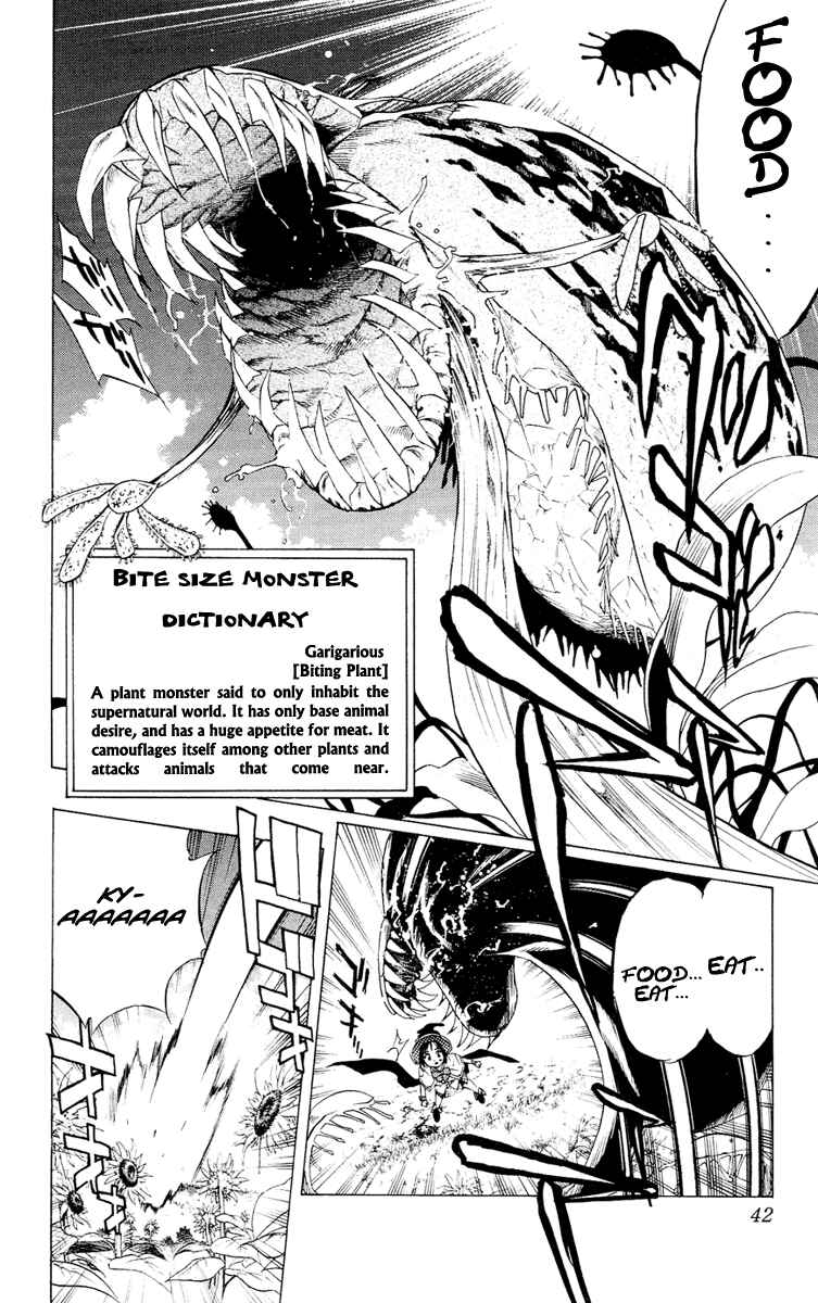 Page 43 Chapter 13 Rosario to Vampire