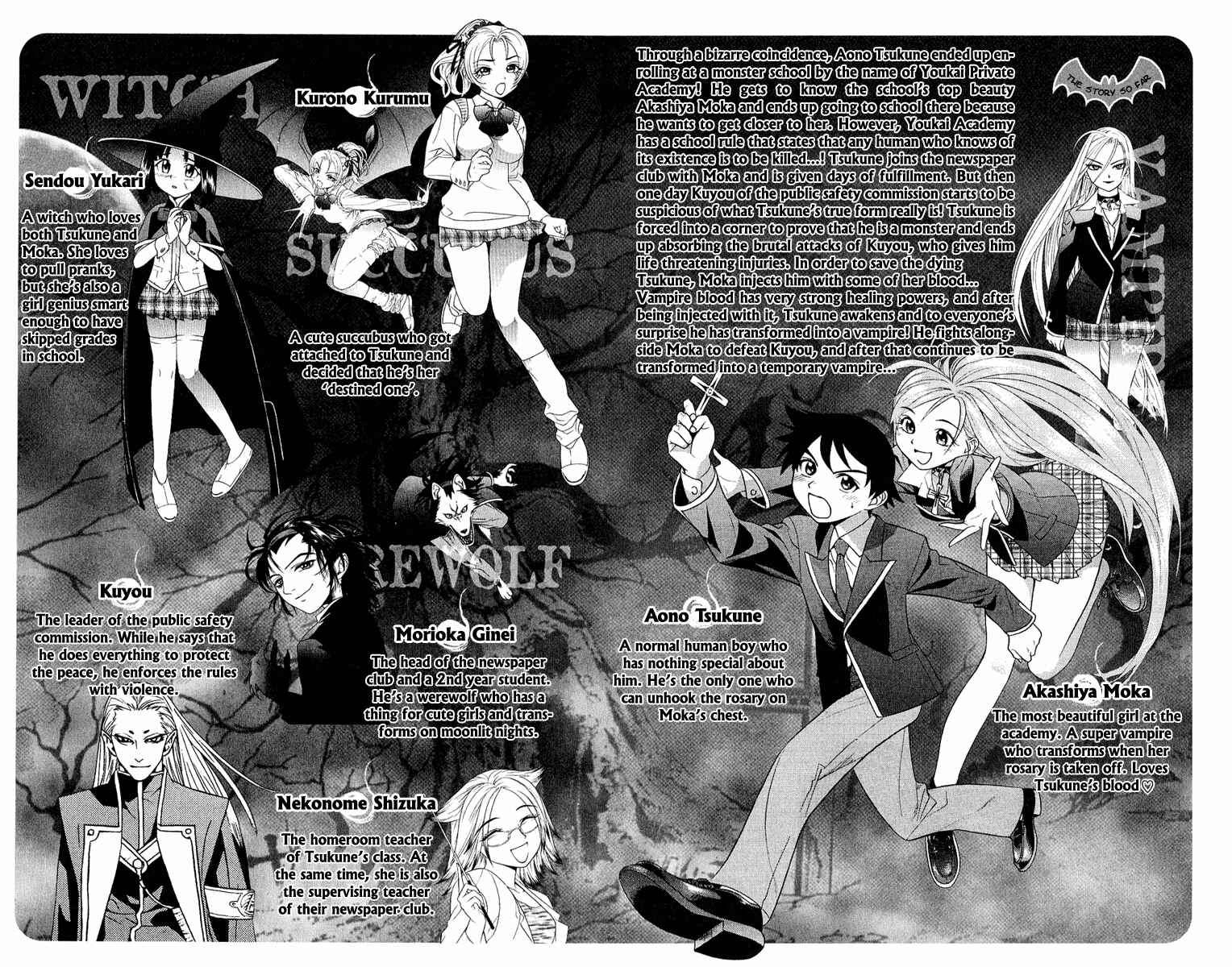 Page 6 Chapter 13 Rosario to Vampire